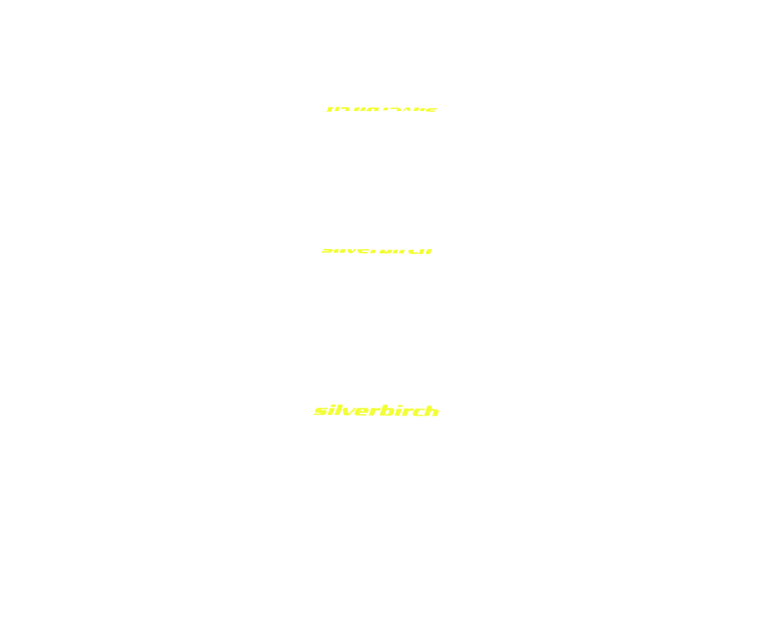 Vinyl Graphic Colours: Floro Yellow